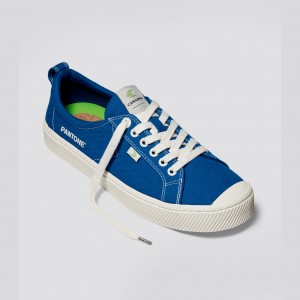 Cariuma Low Top Canvas OCA LOW Damen Blau | 208-RXVTOP