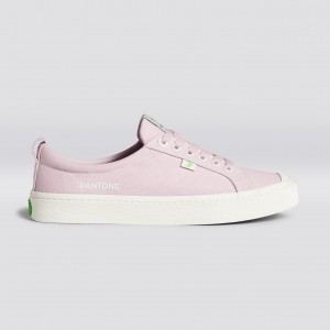 Cariuma Low Top Canvas OCA LOW Damen Pale Lilac | 865-NQFAVS