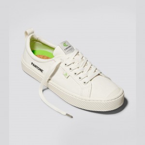 Cariuma Low Top Canvas OCA LOW Damen Weiß | 932-TFKINW