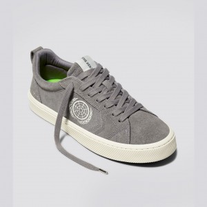 Cariuma Low Top Suede CATIBA PRO Damen Grau | 348-OMUIDK