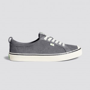 Cariuma Low Top Suede OCA LOW Herren Streifen Grau | 732-BKXJUF