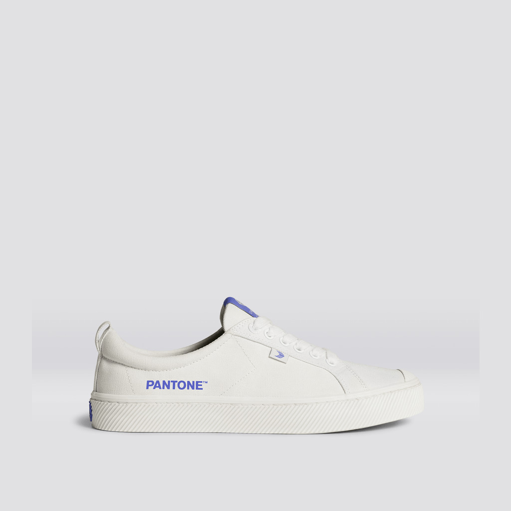 Cariuma Low Top Canvas Vegan OCA LOW Herren Off-White / Very Peri Canvas | 187-UFEAQC